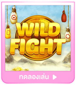 ทดลองเล่น Wild Fight